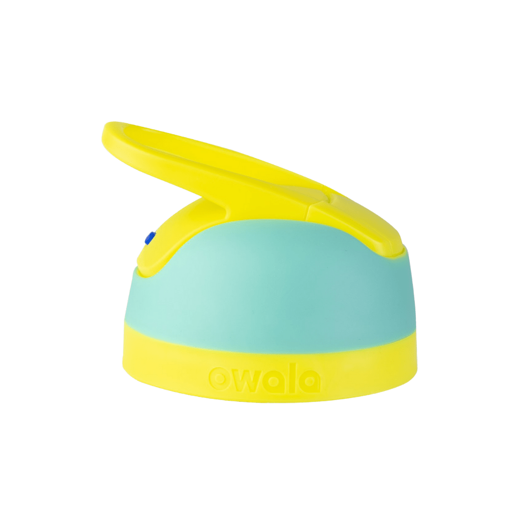 Replacement Lids - Second Set 42 5566b z56wc scqxm