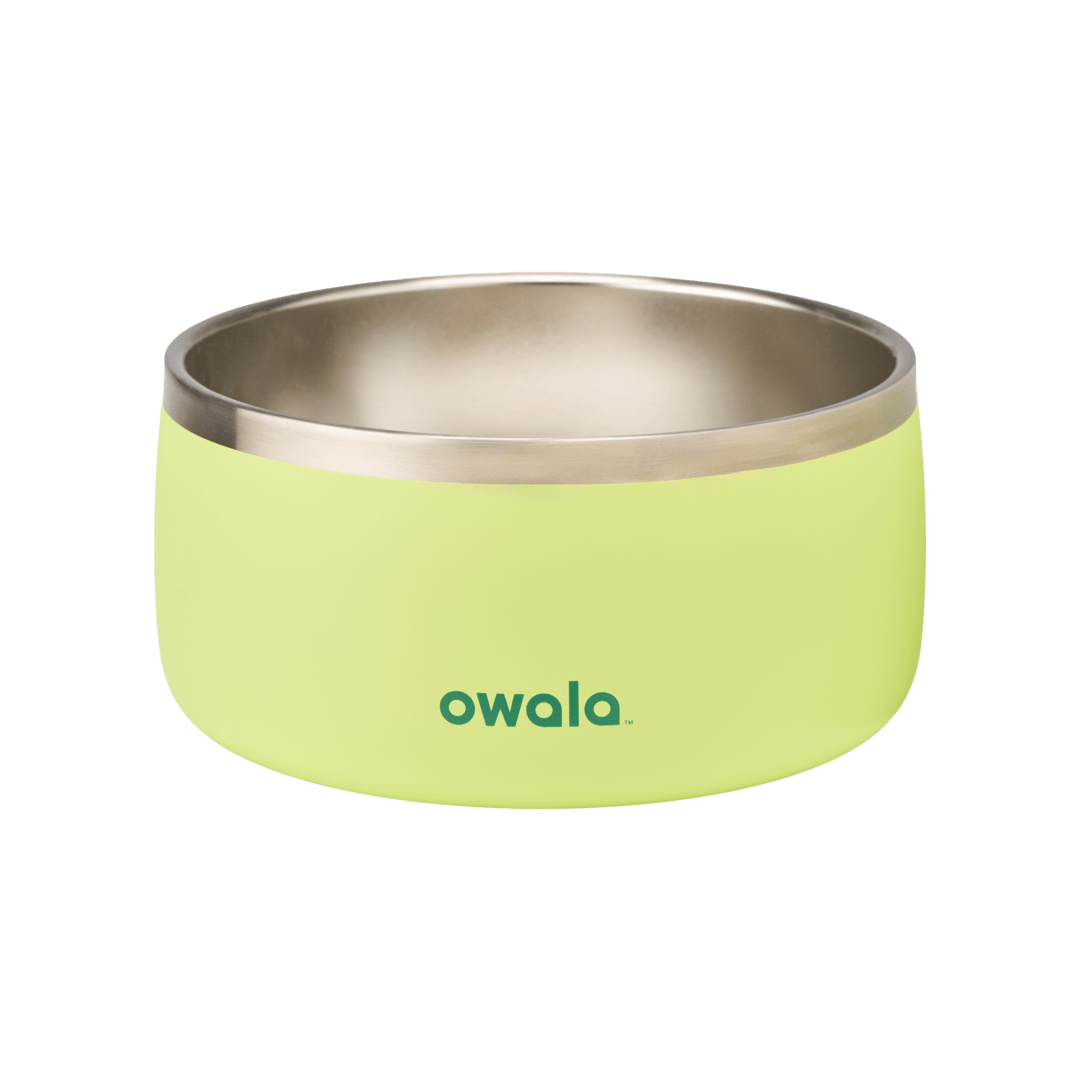 Pet Bowl shv7q z34hg