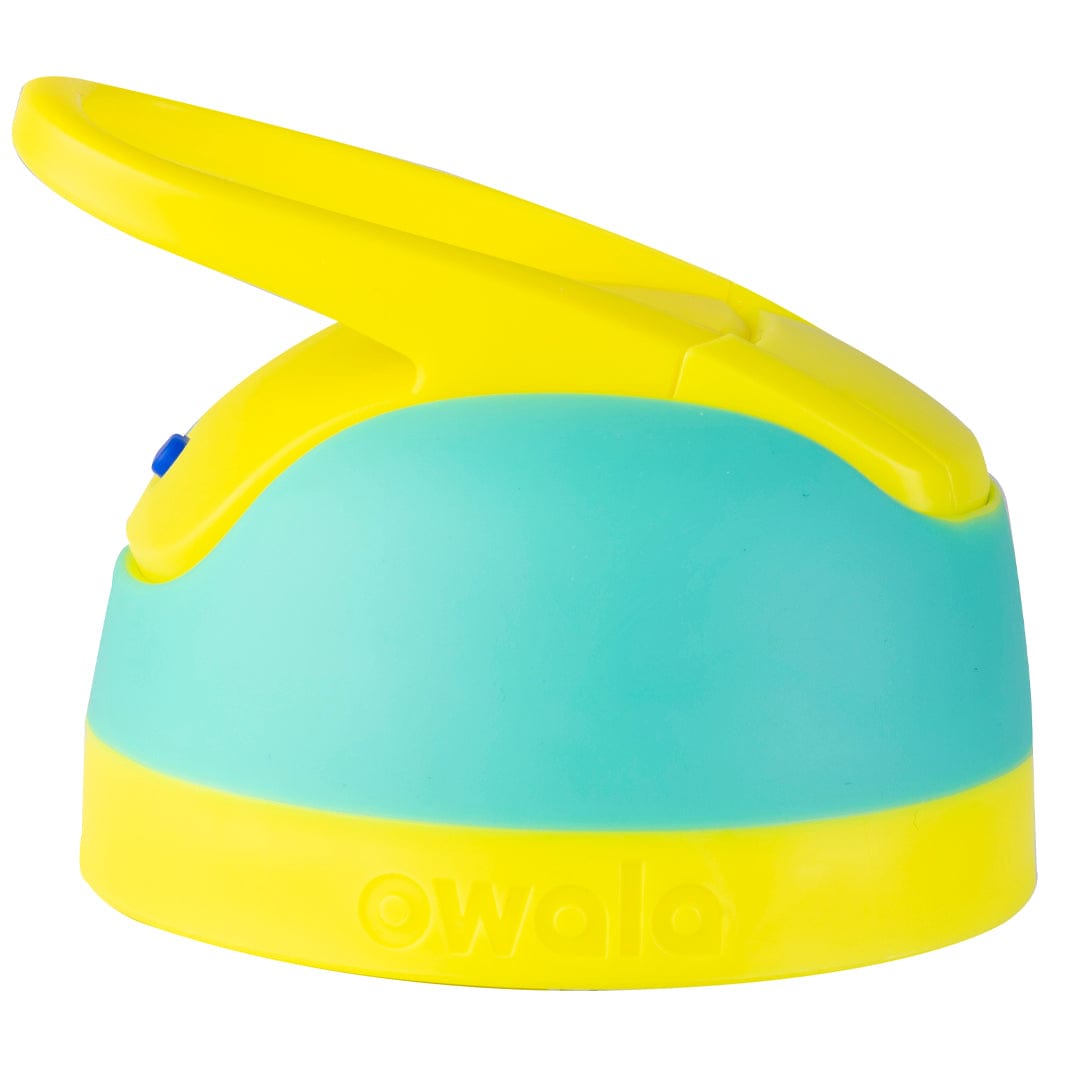 Replacement Lids - Second Set 42 5566b z56wc