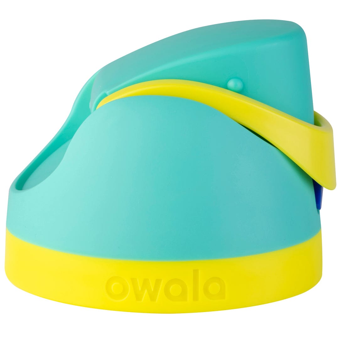 Replacement Lids - Second Set 42 5566b z56wc