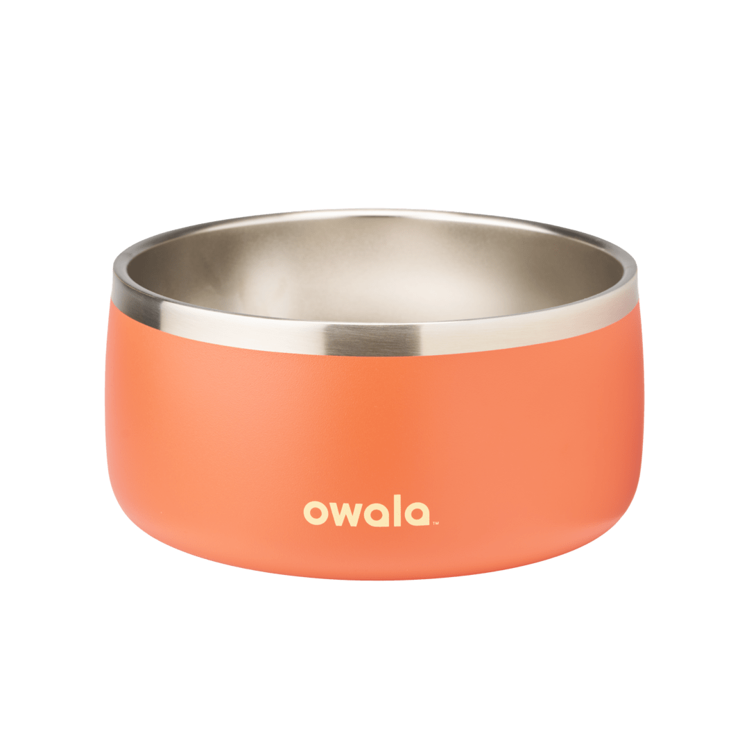 Pet Bowl shv7q z34hg
