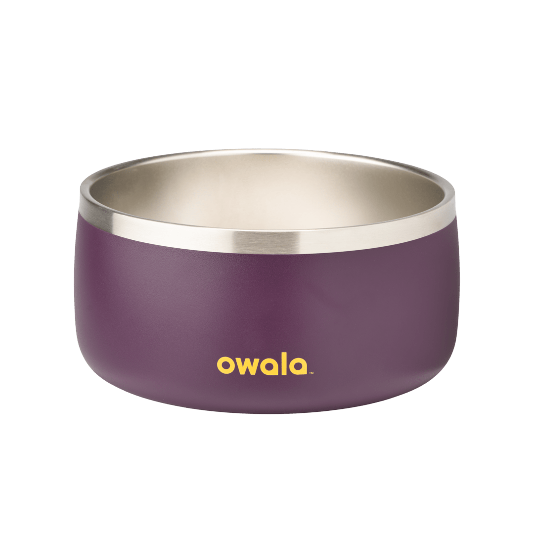 Pet Bowl shv7q z34hg