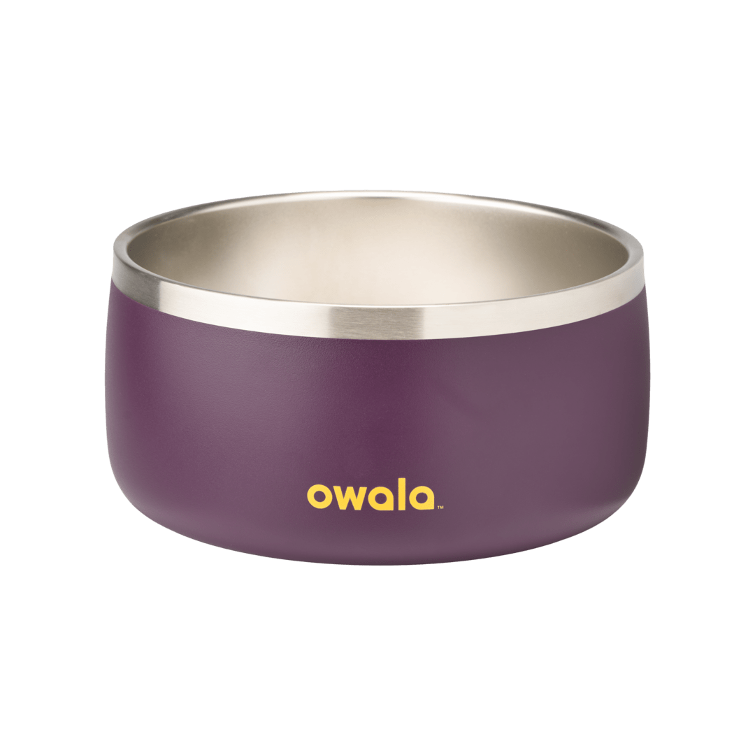 Pet Bowl shv7q z34hg