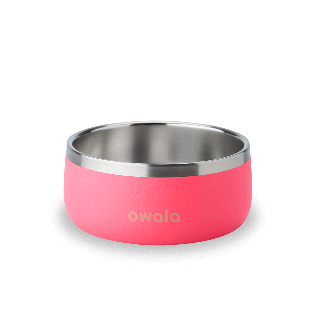Pet Bowl shv7q z34hg
