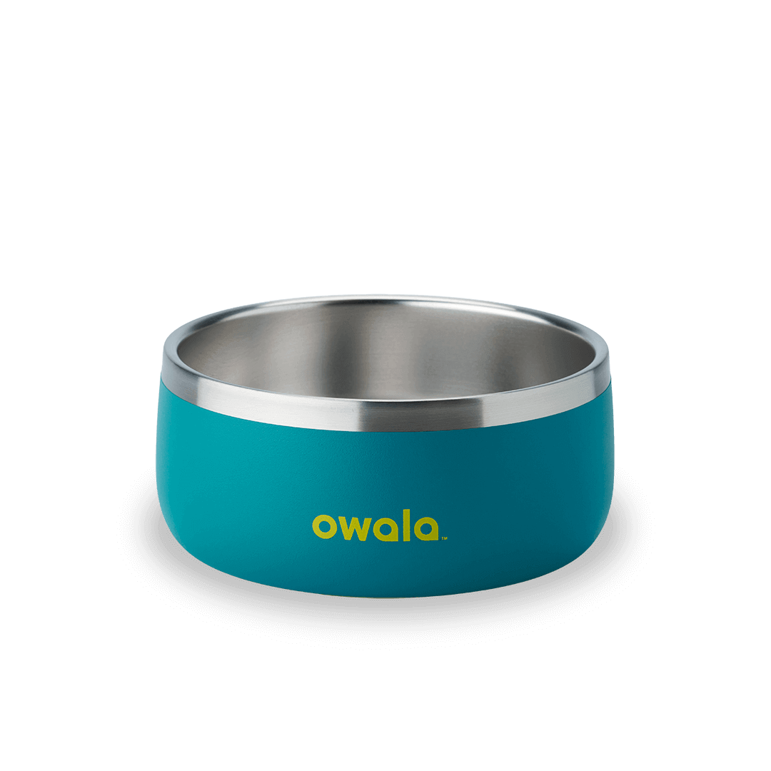 Pet Bowl shv7q z34hg