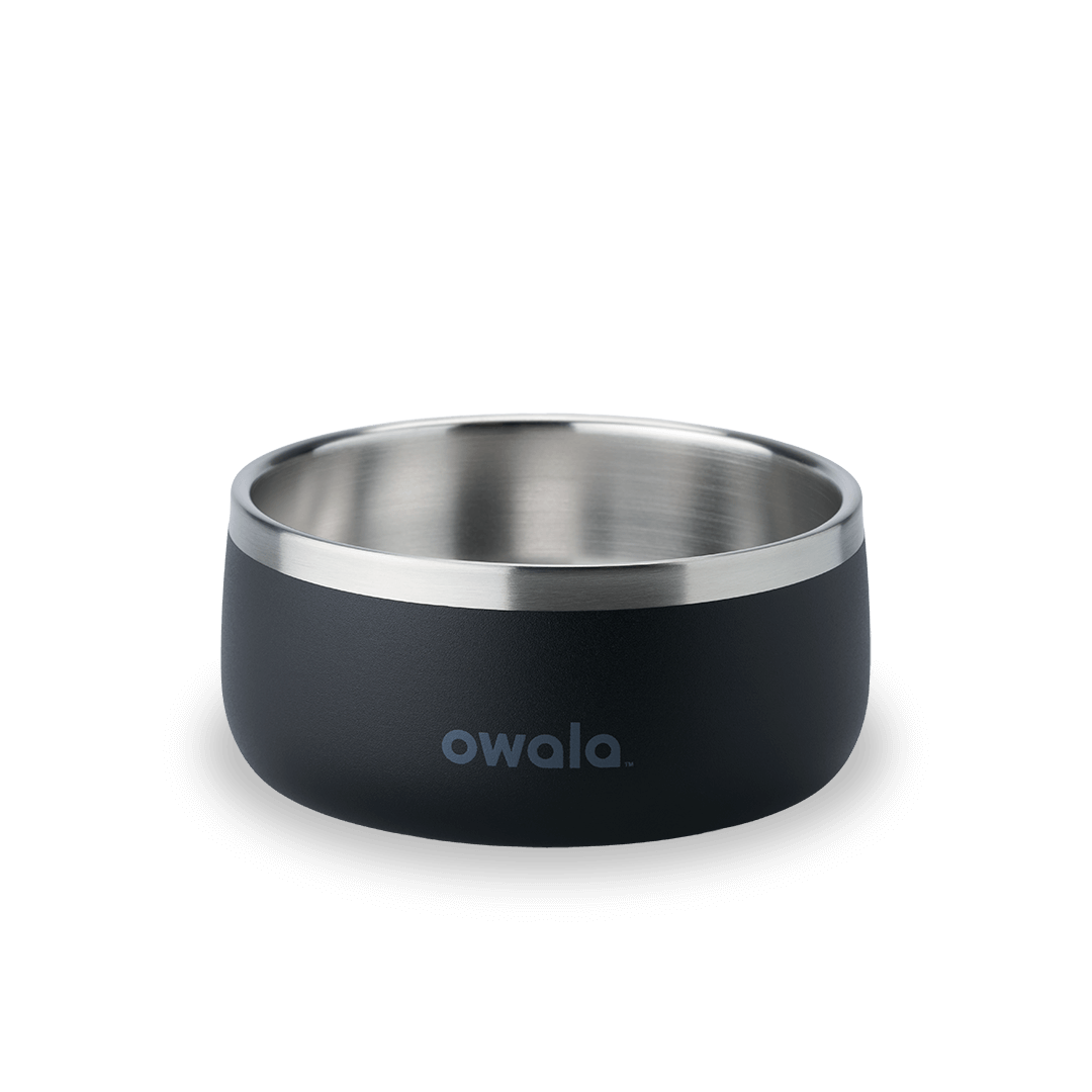 Pet Bowl shv7q z34hg