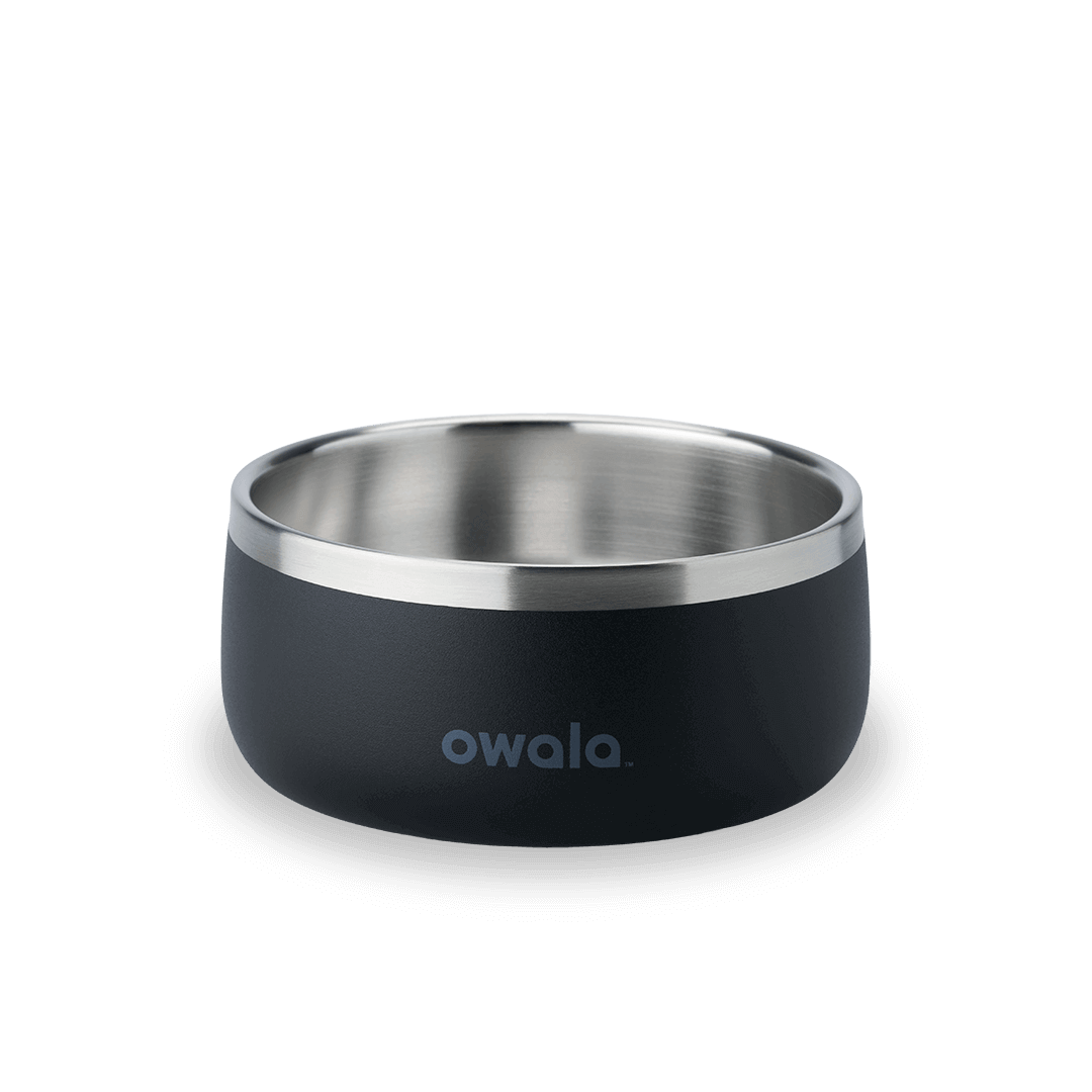 Pet Bowl shv7q z34hg