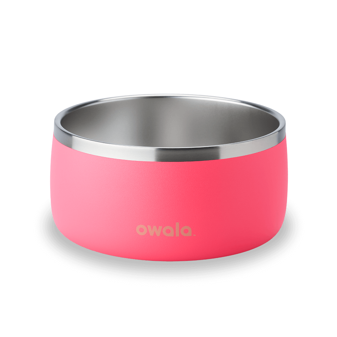 Pet Bowl - Second Set 39 rv6kw f26d8