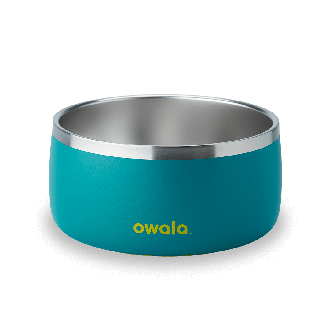 Pet Bowl shv7q z34hg