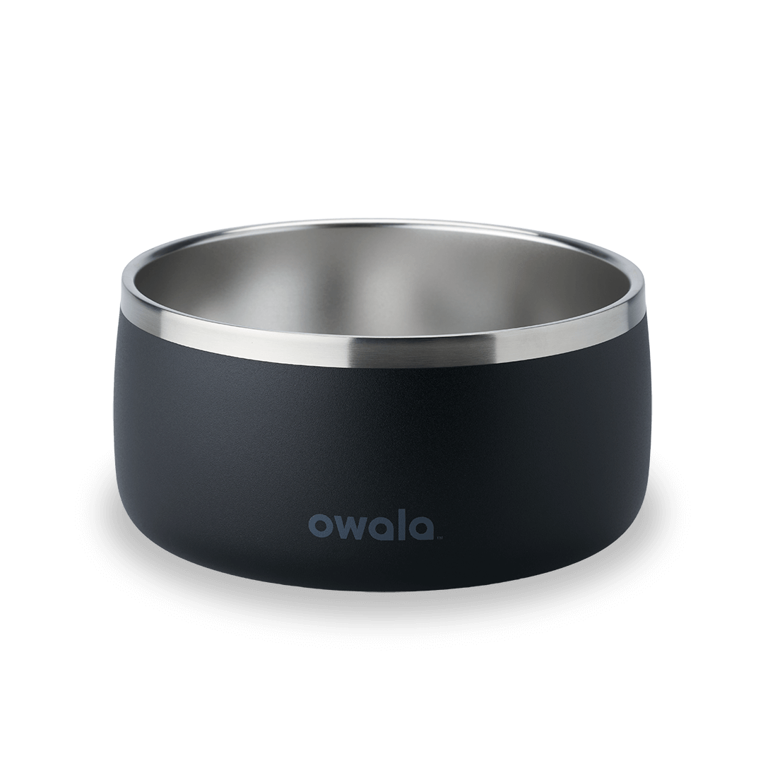 Pet Bowl shv7q z34hg