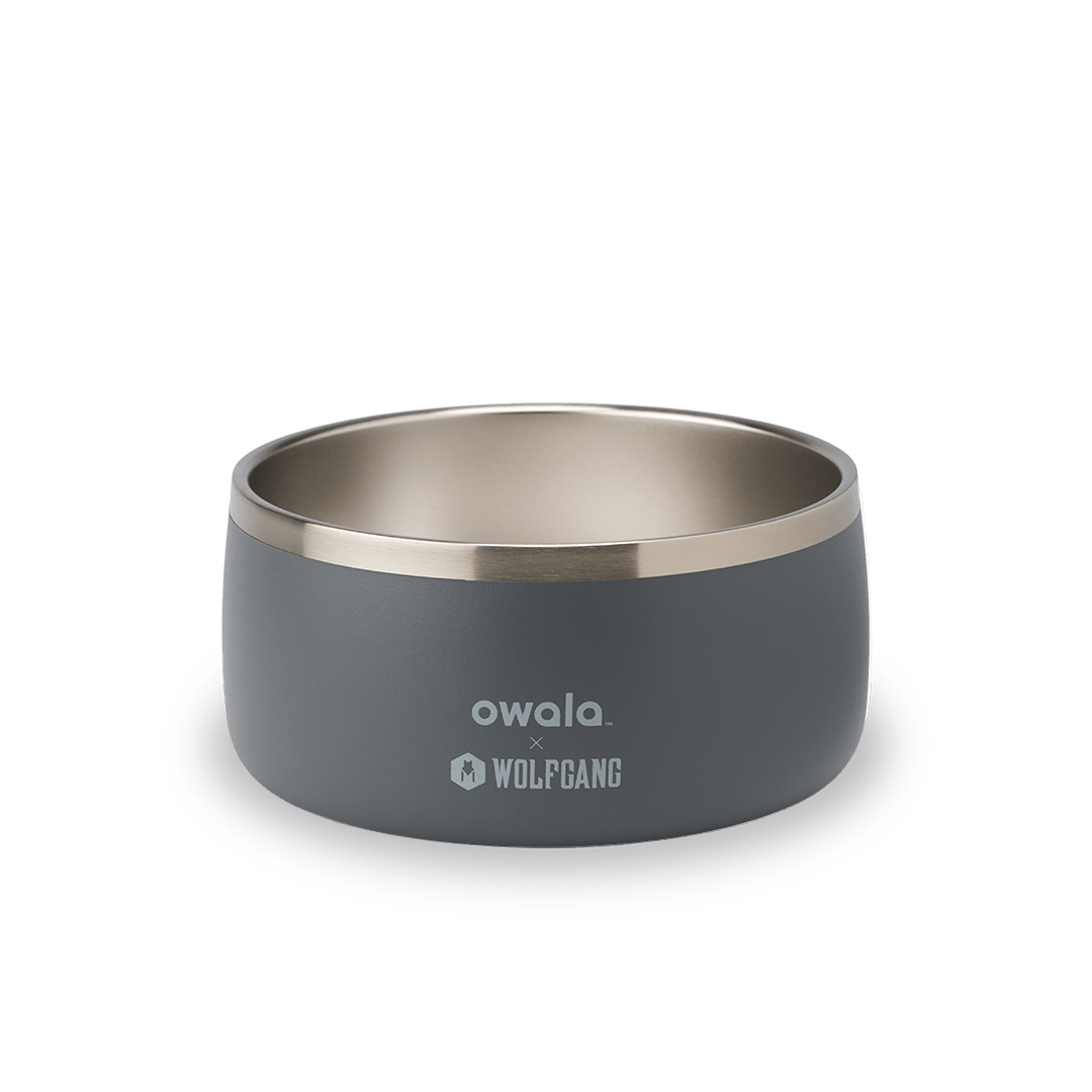Pet Bowl shv7q z34hg